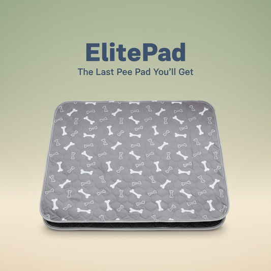 ElitePad - The Last Pee Pad You'll Get
